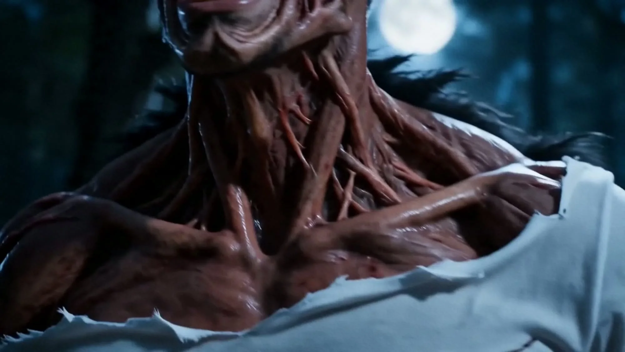 WereWolf — imagem 3