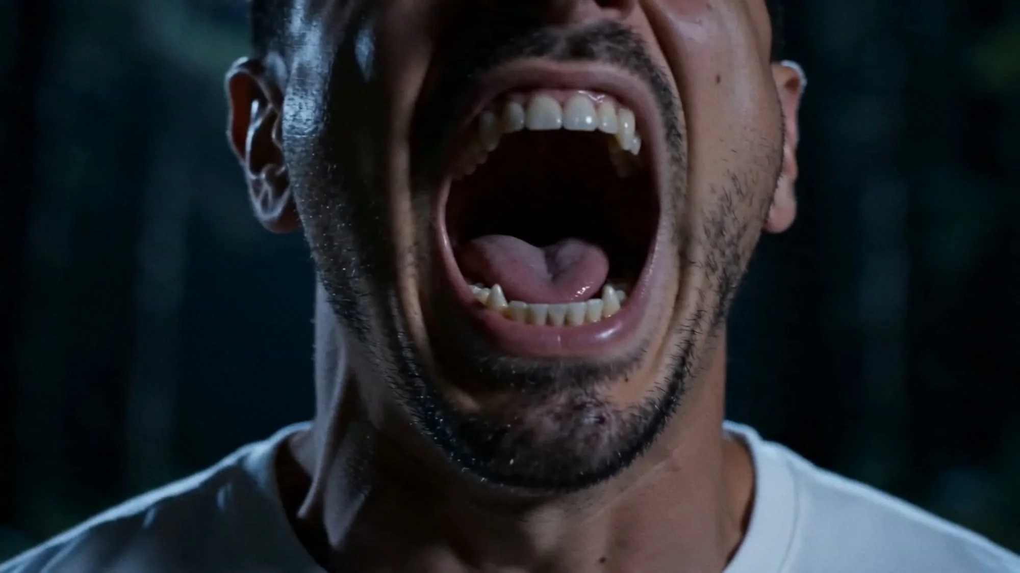 WereWolf — imagem 2