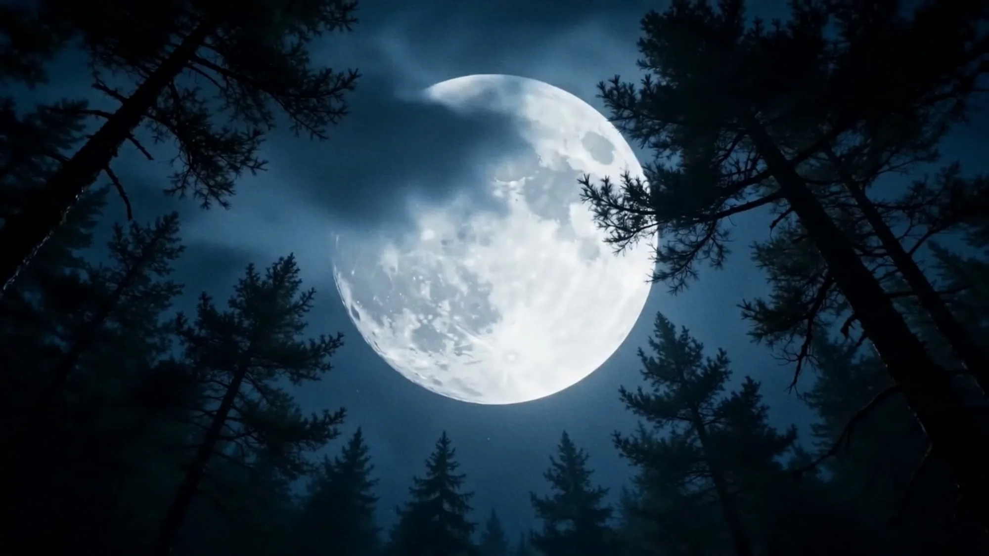 WereWolf — imagem 1